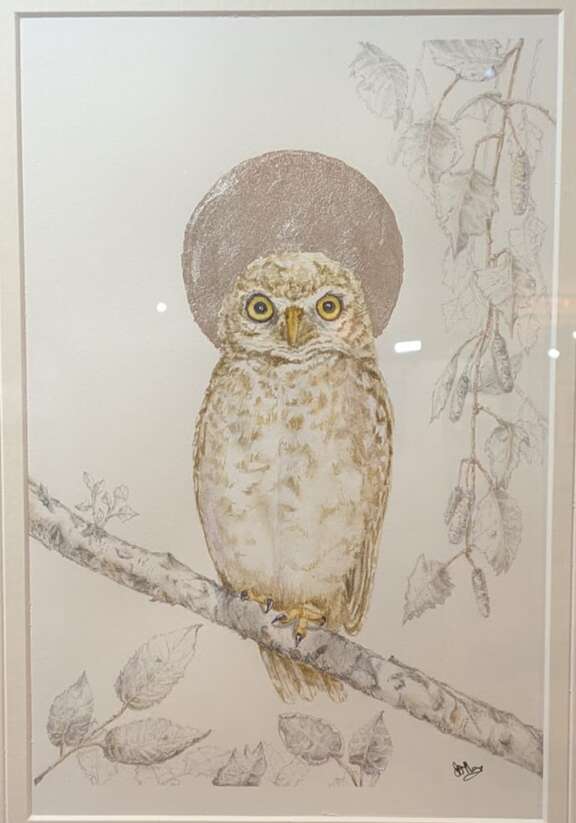 Little Owl, by Julie Thorne